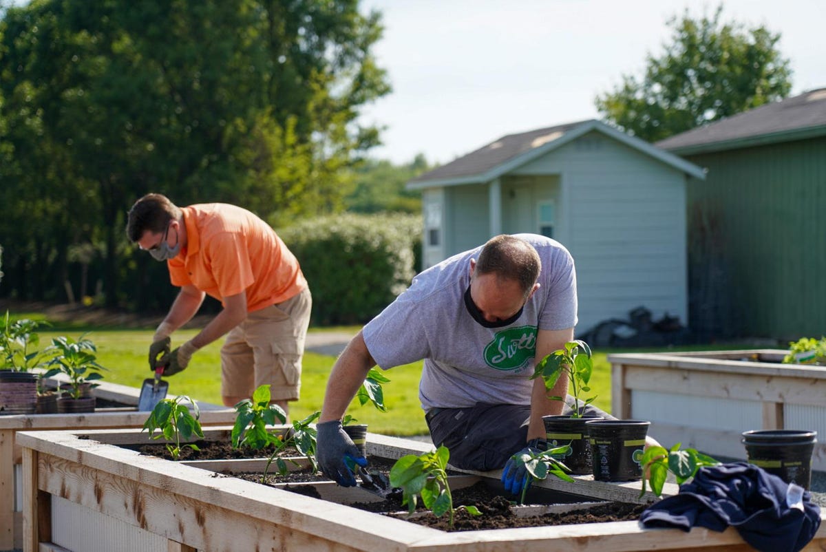 Gardening Grabs Share Of Mind: ScottsMiracle-Gro Leaders Talk Trends