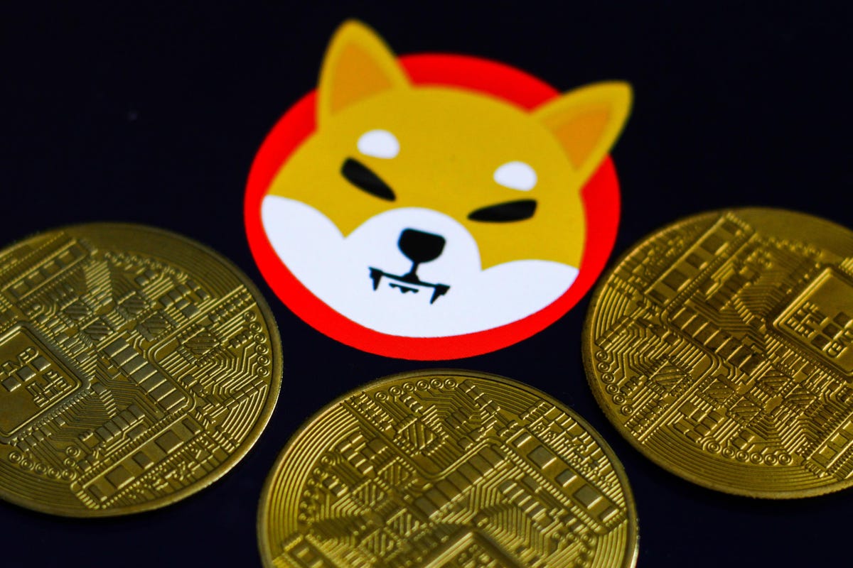 The Next Shiba Inu? Facebook Meta Sends The Price Of This Minor Bitcoin Rival Soaring 300% To  Billion