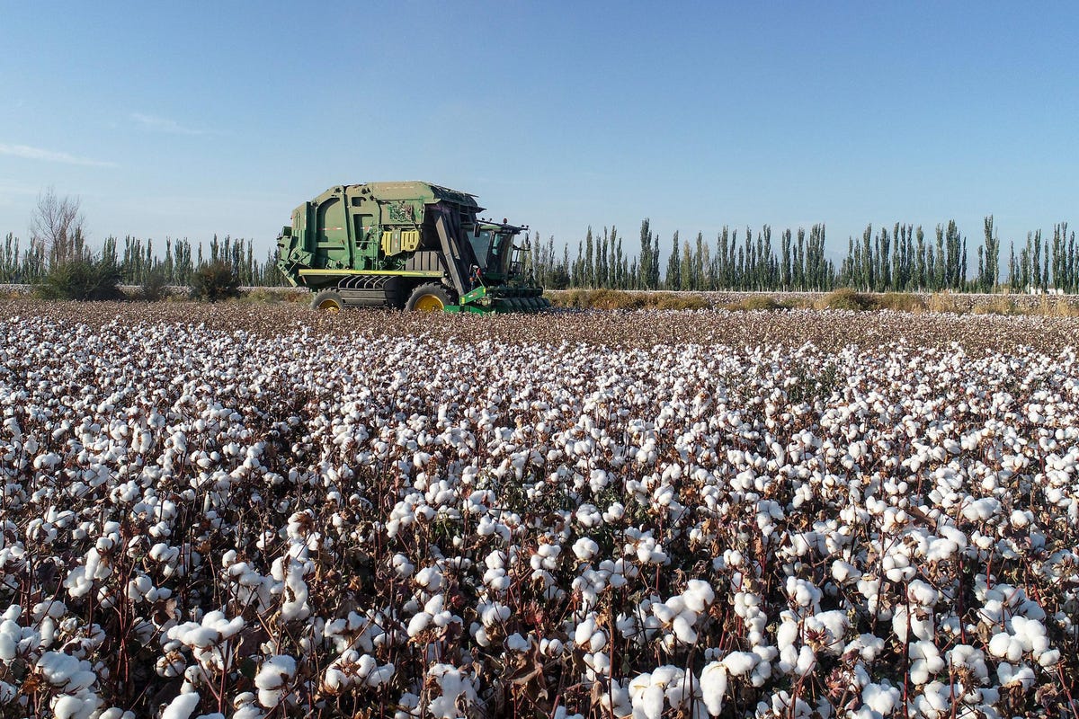 What The Spike In Cotton Prices To A 10-Year High Means