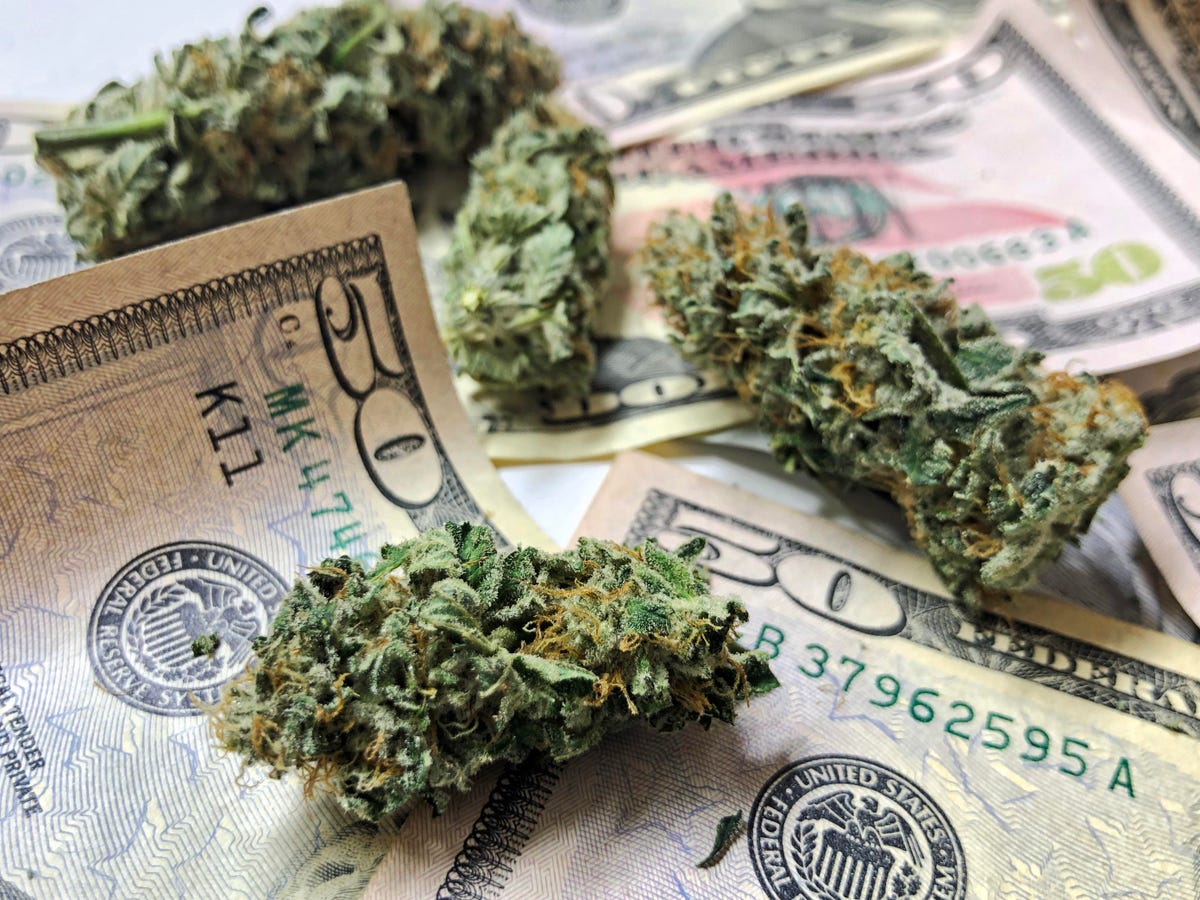 New Cannabis Pricing Analysis Report Reveals Similarities—And Differences—In North America Markets