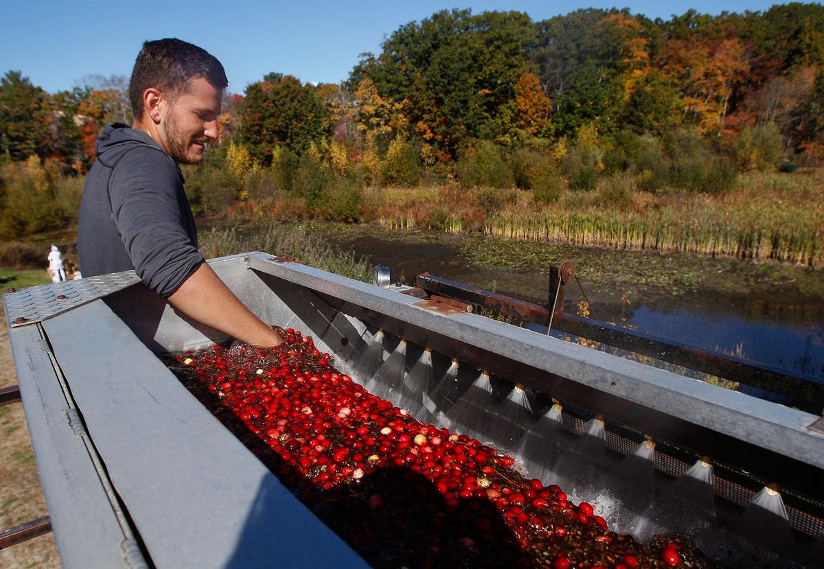 Support Family Farms This Thanksgiving With Ocean Spray