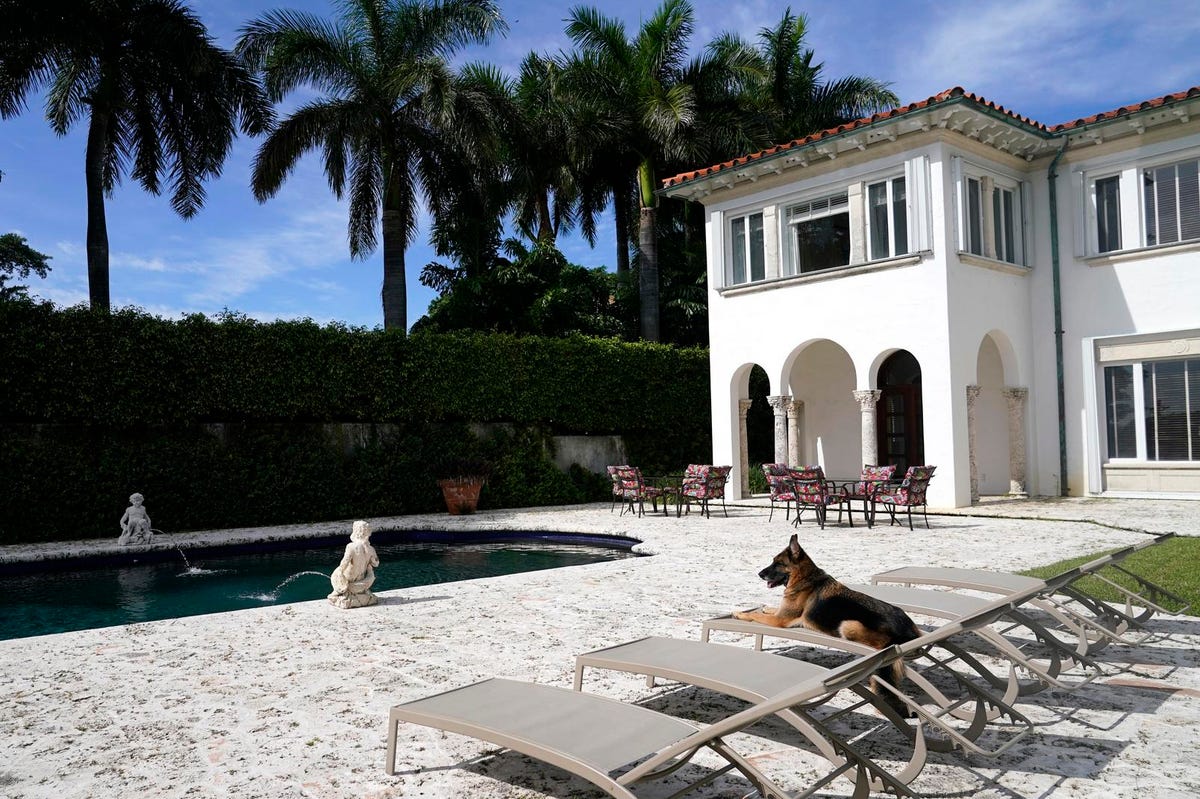 The ‘World’s Wealthiest Canine’ Is ‘Selling’ Miami Estate For  Million