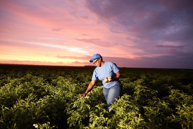 Purpose At Work: How PepsiCo Expands Growth Boundaries Even As It Operates “Within Planetary Boundaries.”