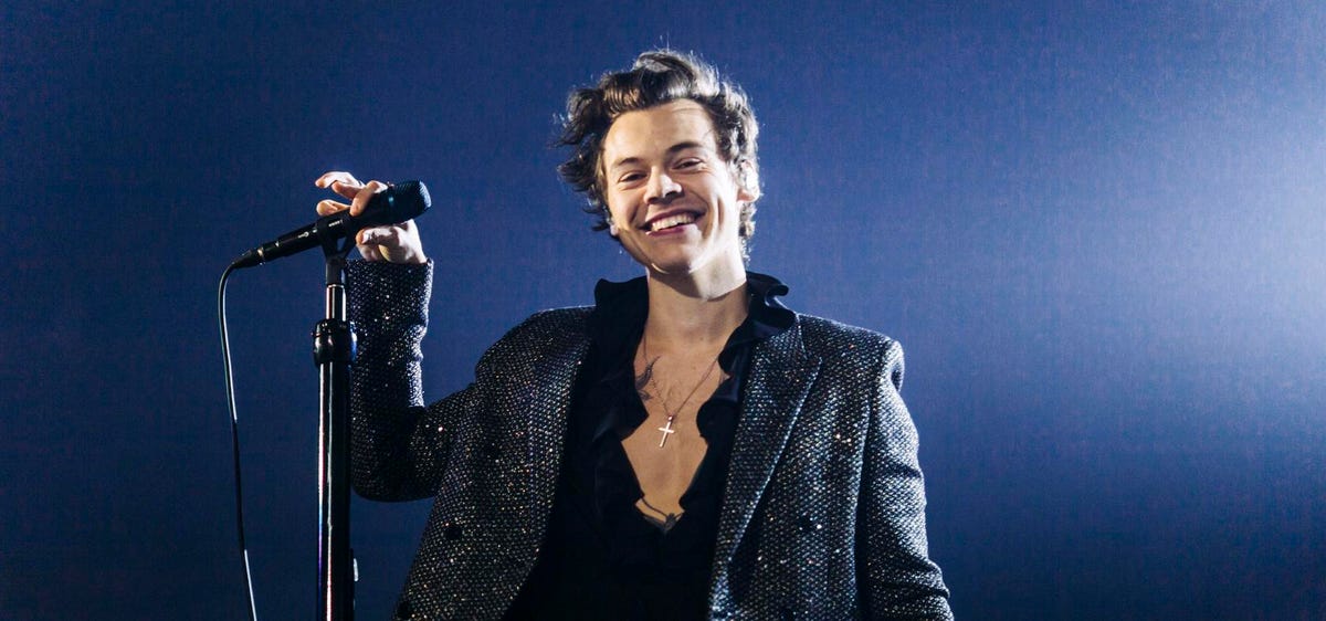 Harry Styles Fan Files Lawsuit Over Crowd Surge Injuries – What Can We Expect?