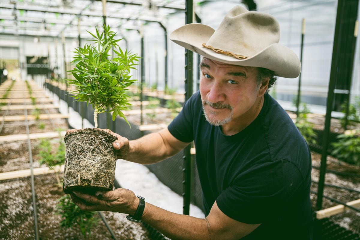 Jim Belushi Talks About New Season Of His Cannabis ‘Reality’ Show