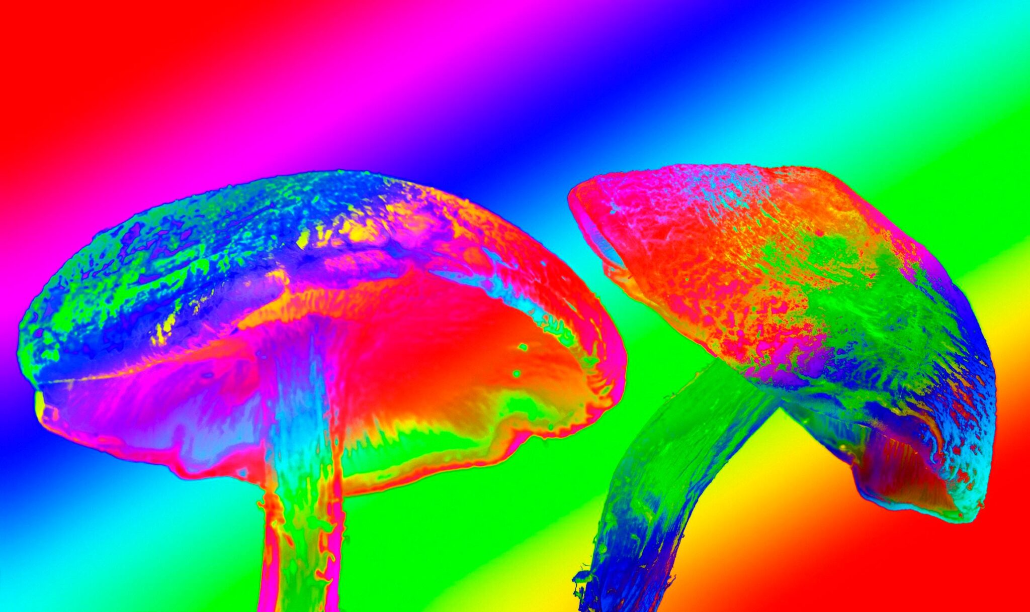 After Being Vilified In The 1960s, We Are Now Seeing A Renaissance In Creating Psychedelic Drugs To Help Treat Depression And Mental Health Issues